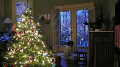 Printing and the dog have helped keep me sane while snowbound.