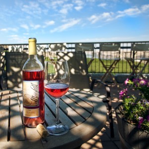 20 minutes' drive from Lyle. I staked a pretty fab table on the patio, which they call "the arbor", with a slightly over-sweet Sangiovese-based Rosé, and pulled out my novel. All went well until the live one-dude musical act got in full swing. I could only take so many groups of middle-aged drunk dudes singing along to "Under the Boardwalk" and Steely Dan. I vacated.