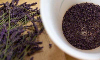 "Shelling" lavender by removing the flowers from the stems.