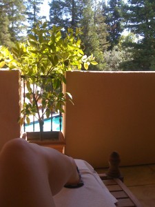 At the spa; that lime tree has limes on it. That's my leg, yup.